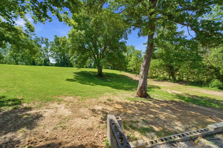 Listing Image 49