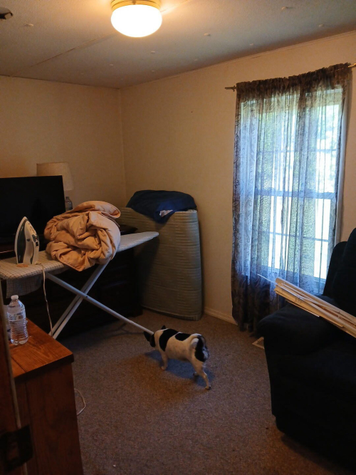 Listing Image 19