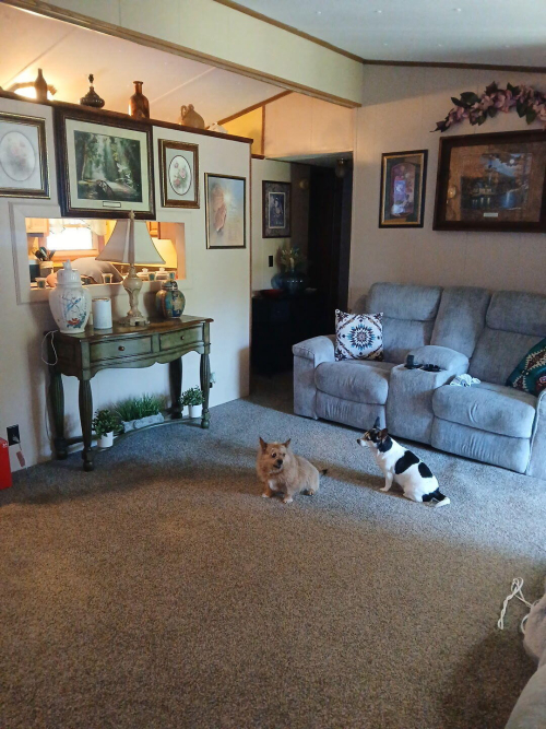 Listing Image 6