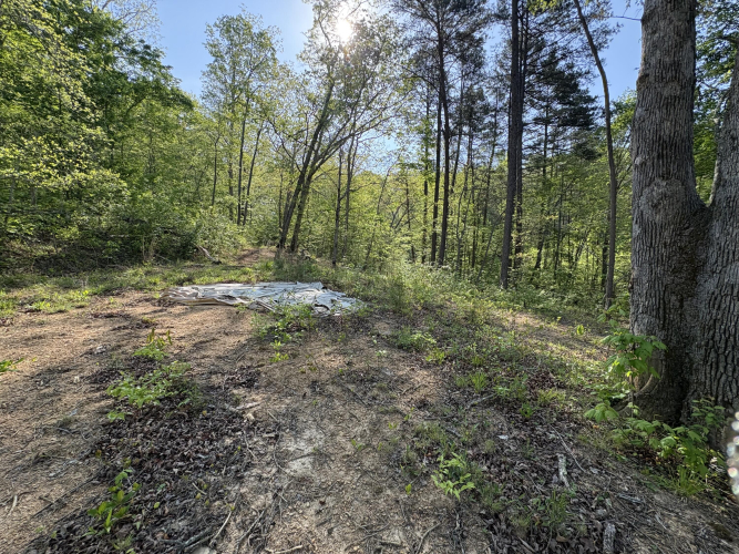 Listing Image 17