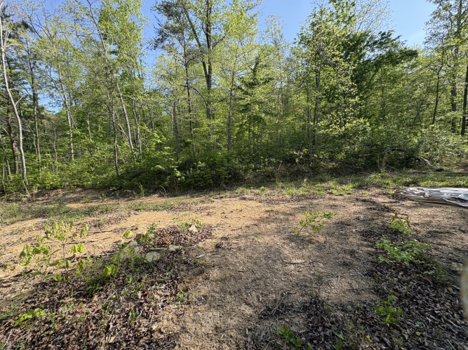 Listing Image 19