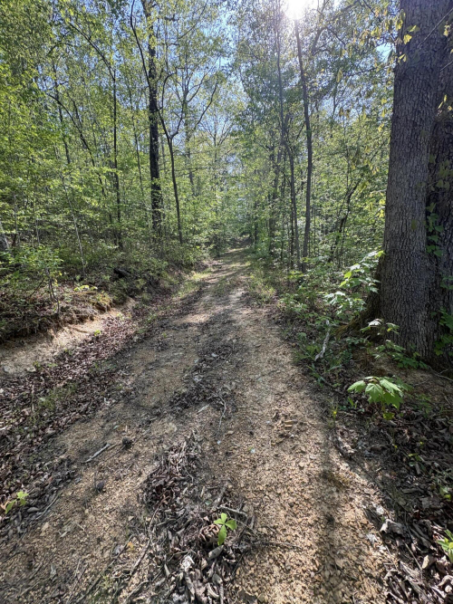 Listing Image 23