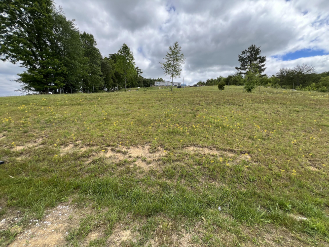 Listing Image 17
