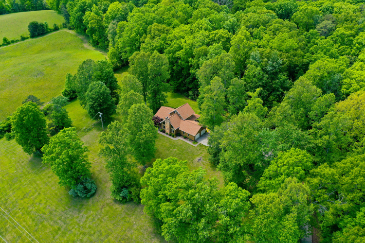 Listing Image 11