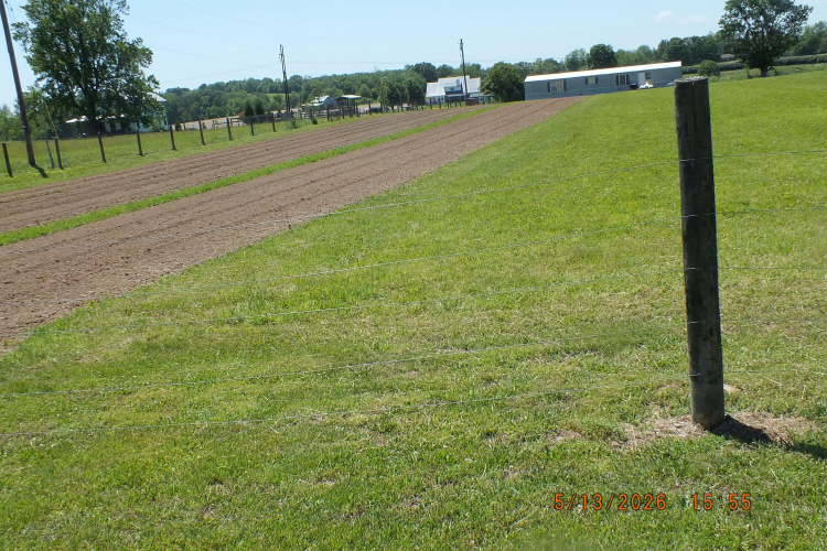 Listing Image 16