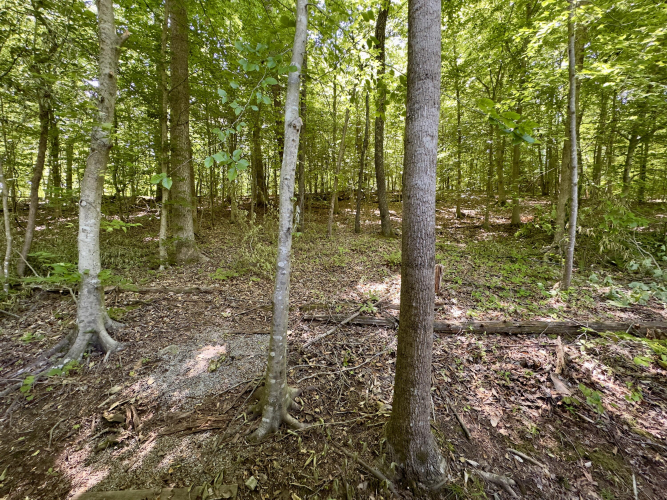 Listing Image 28