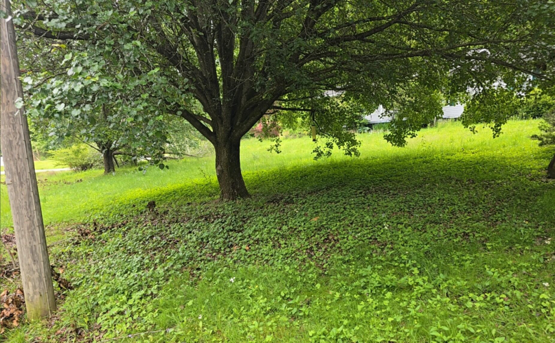 Listing Image 16