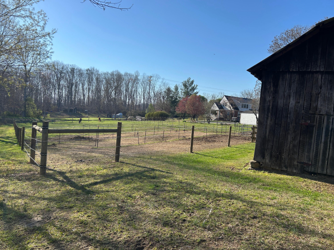 Listing Image 115