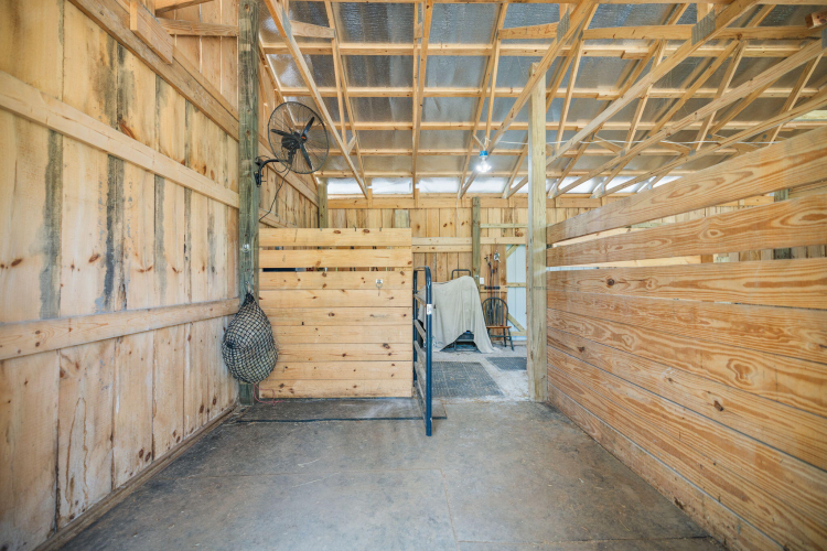 Listing Image 100