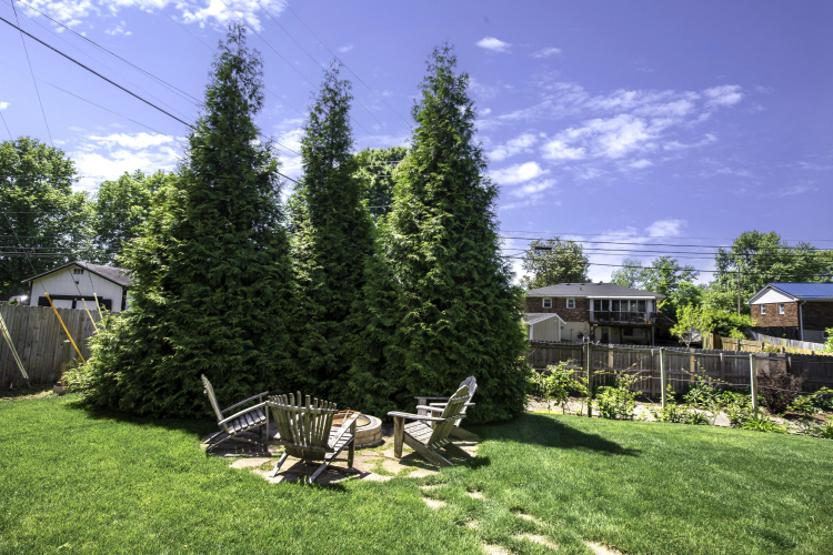 Listing Image 24