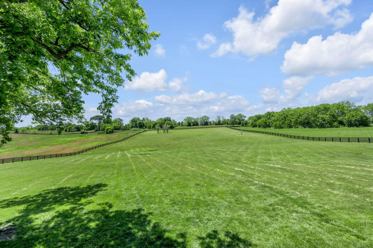 Listing Image 57