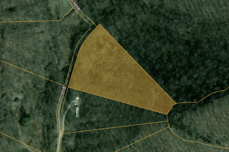 Listing Image 13