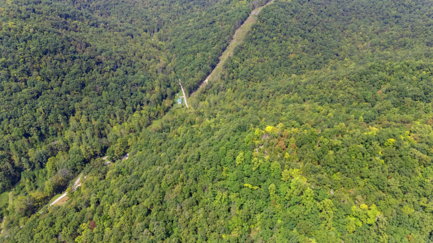 Listing Image 6