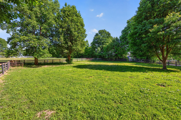 Listing Image 33