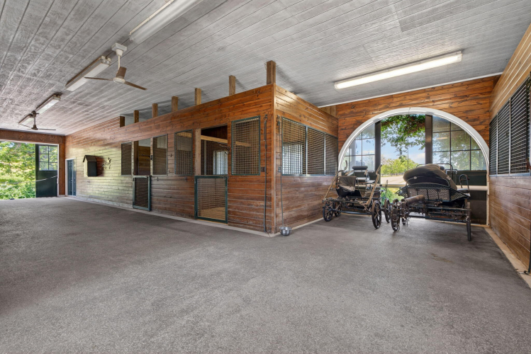 Listing Image 50