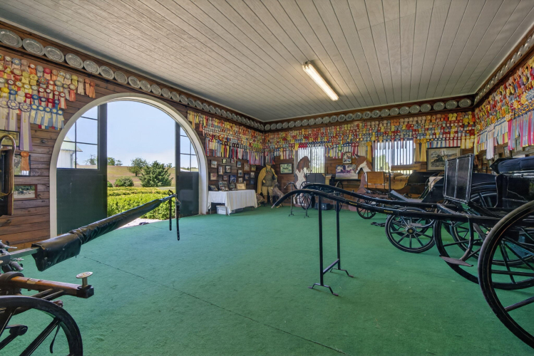 Listing Image 52