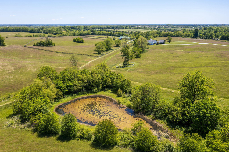 Listing Image 80