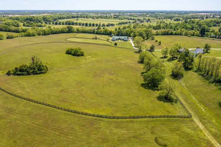 Listing Image 81