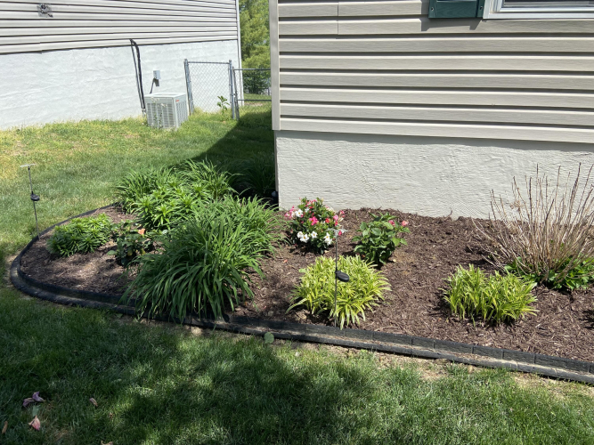 Listing Image 44