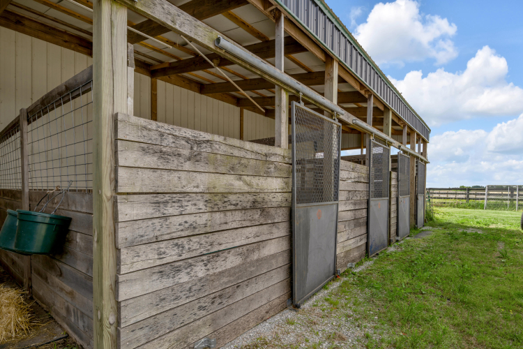 Listing Image 53