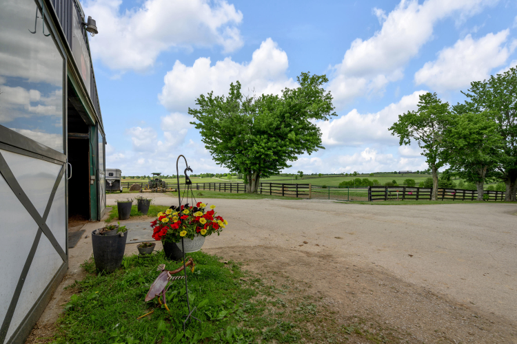 Listing Image 54