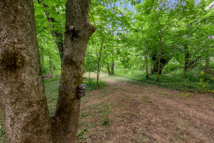 Listing Image 59