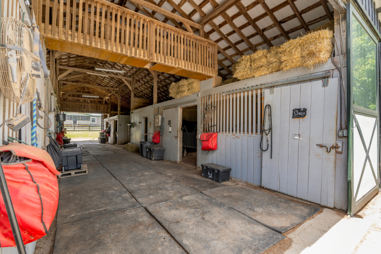 Listing Image 69