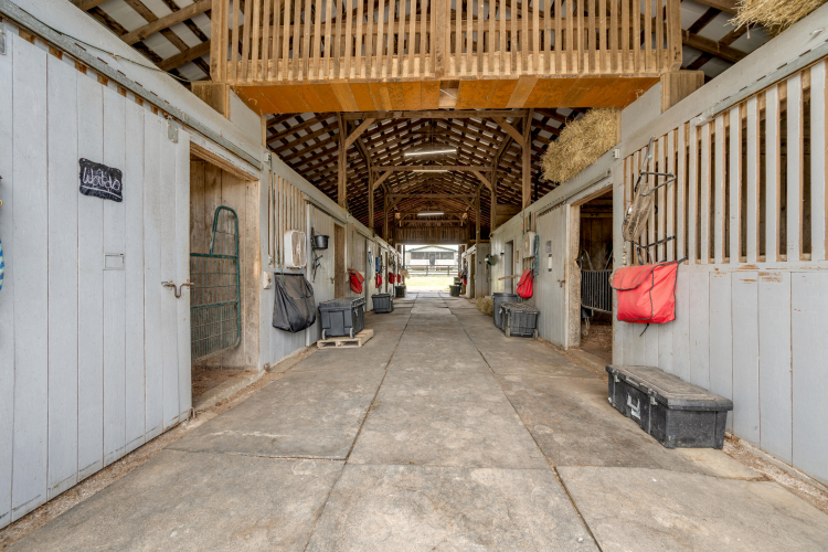 Listing Image 83
