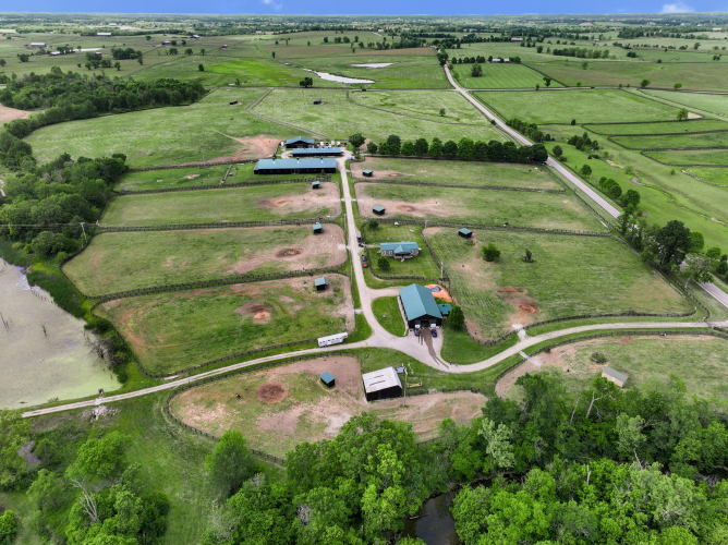 Listing Image 91