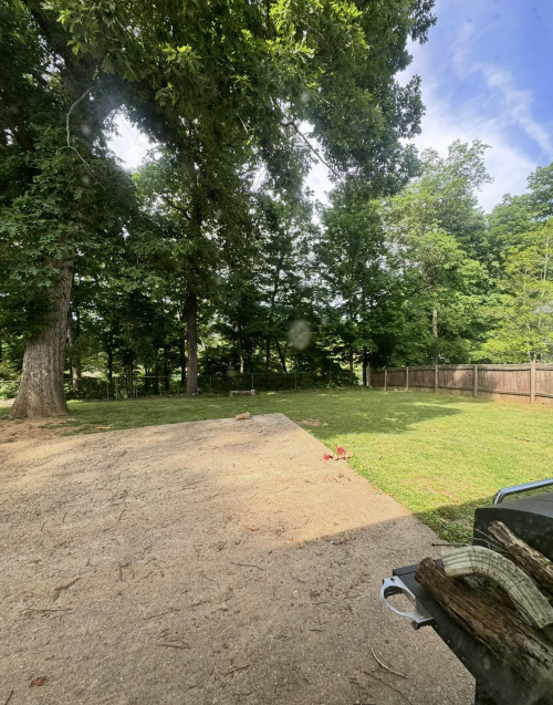 Listing Image 18