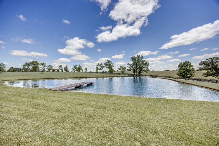 Listing Image 112
