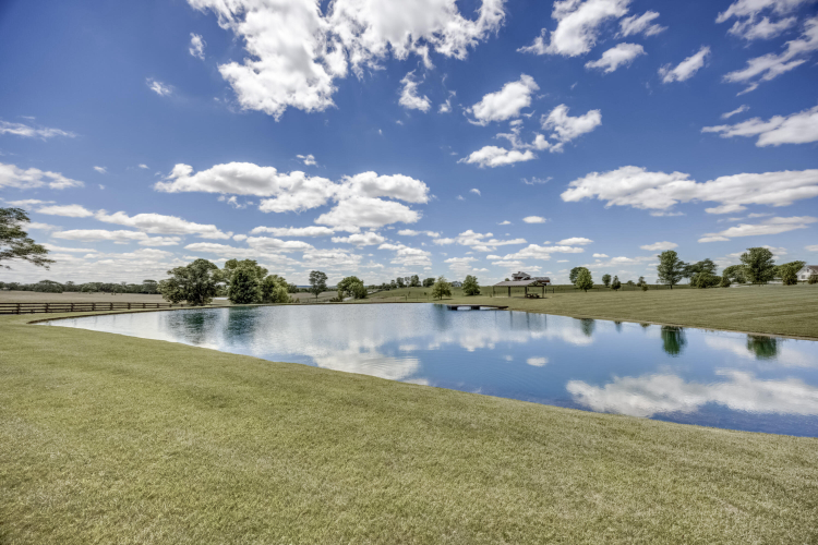 Listing Image 113