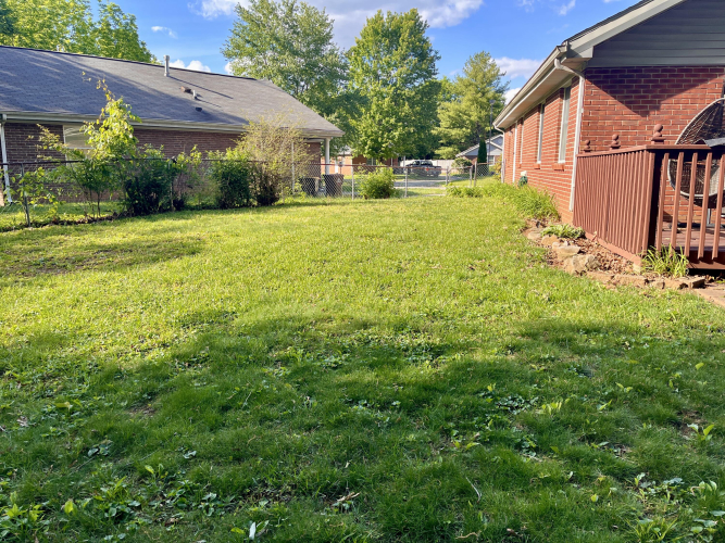 Listing Image 18