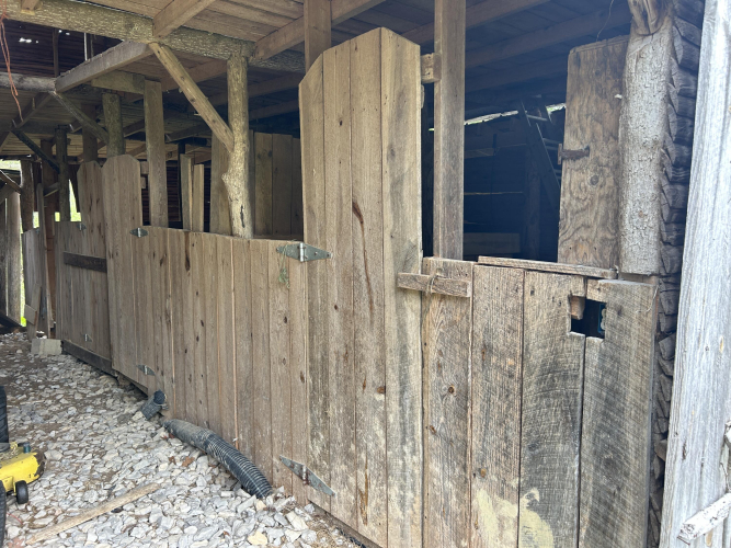 Listing Image 31