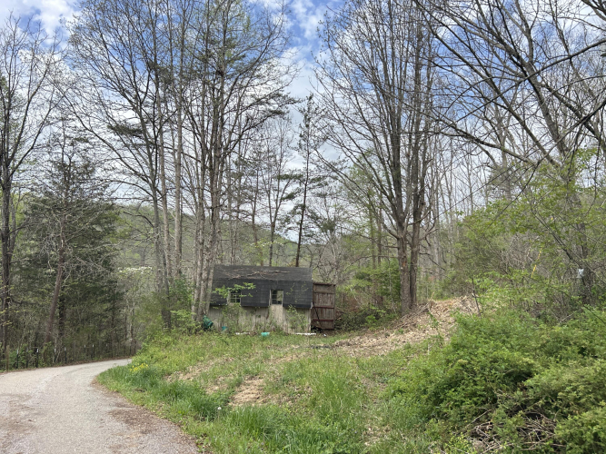 Listing Image 37