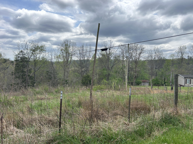 Listing Image 35