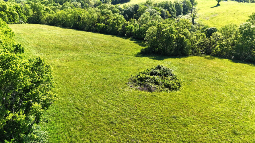 Listing Image 47