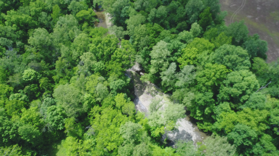 Listing Image 16
