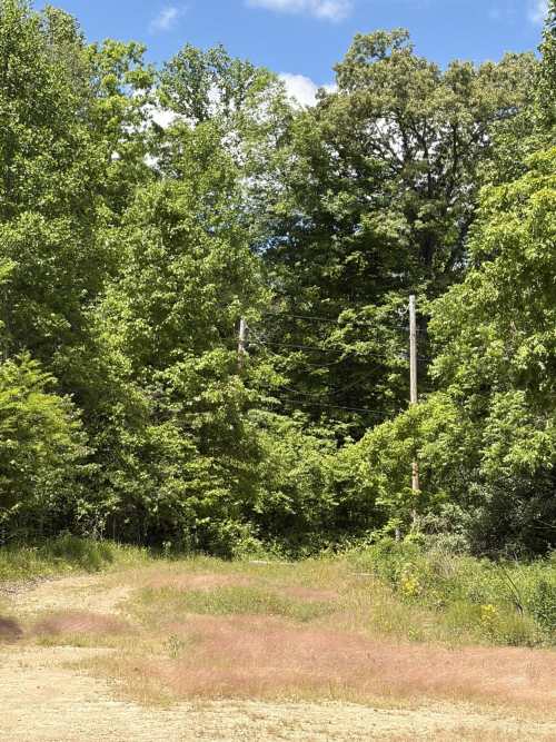 Listing Image 28
