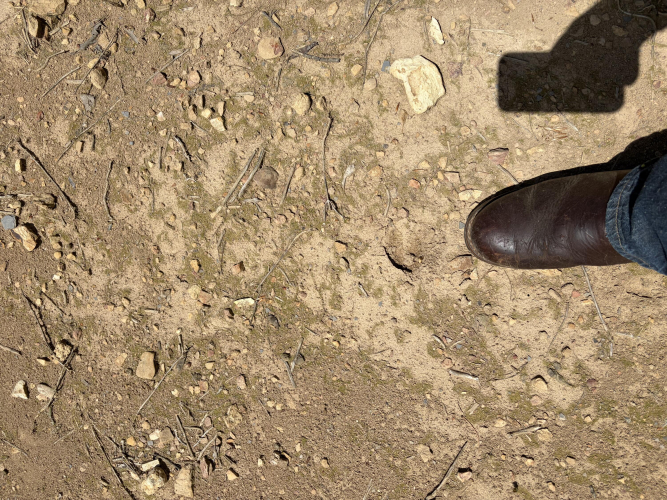 Listing Image 29