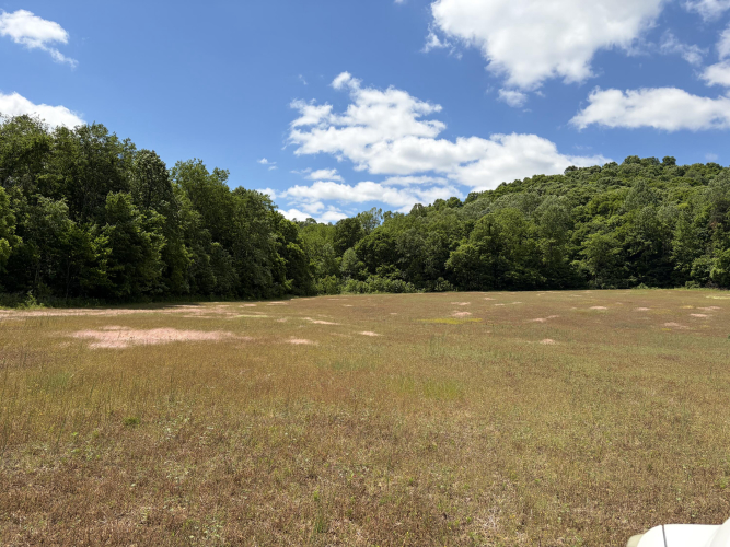 Listing Image 34