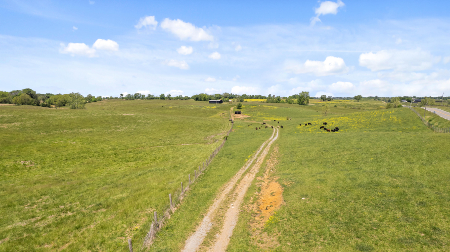 Listing Image 17