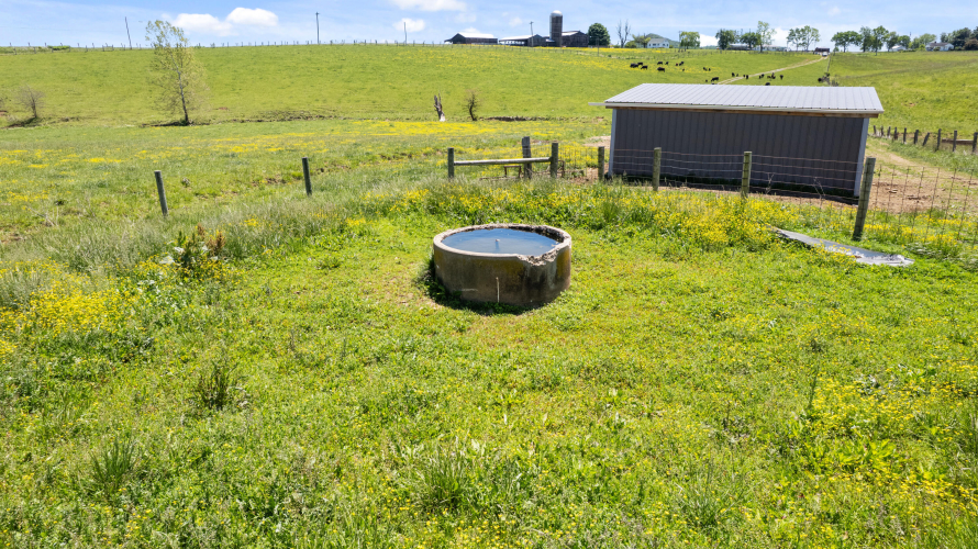 Listing Image 22