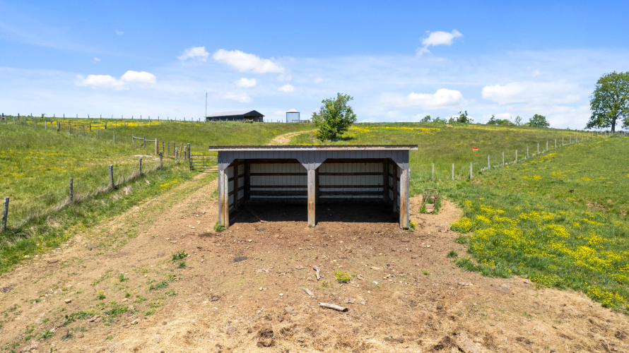 Listing Image 24
