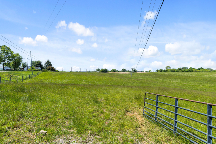 Listing Image 29