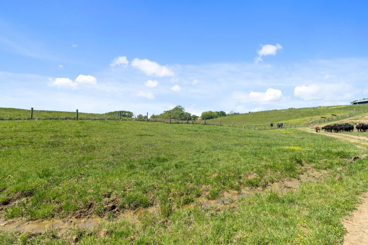 Listing Image 31