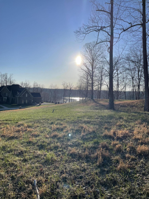 Listing Image 84