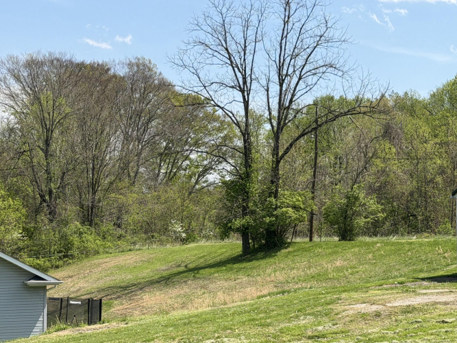 Listing Image 14