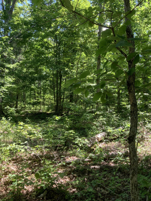 Listing Image 17