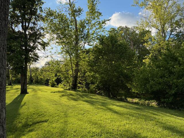 Listing Image 70
